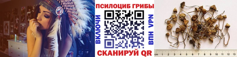 Галлюциногенные грибы мицелий  кракен рабочий сайт  Славянск-на-Кубани 